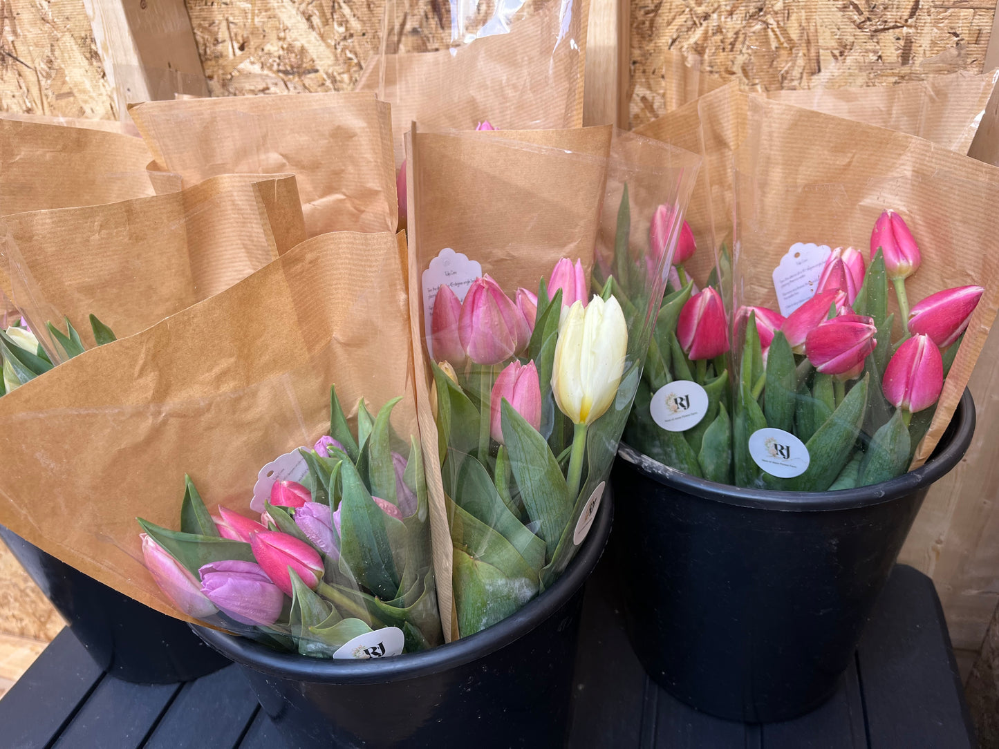 Specialty Tulip Bouquets